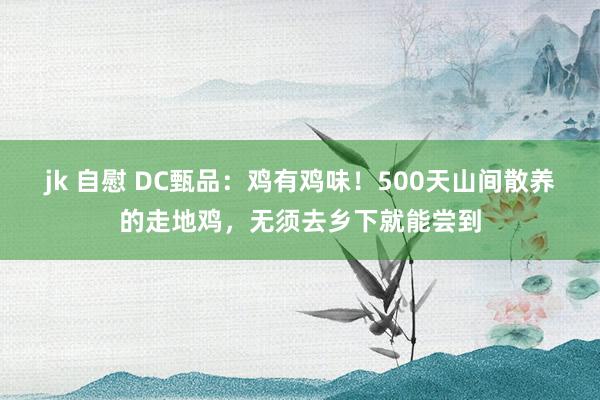 jk 自慰 DC甄品：鸡有鸡味！500天山间散养的走地鸡，无须去乡下就能尝到