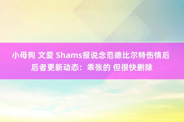 小母狗 文爱 Shams报说念范德比尔特伤情后 后者更新动态：乖张的 但很快删除