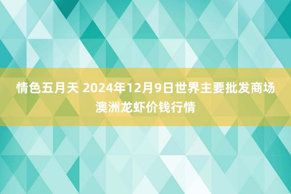 情色五月天 2024年12月9日世界主要批发商场澳洲龙虾价钱行情