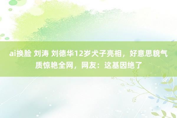 ai换脸 刘涛 刘德华12岁犬子亮相，好意思貌气质惊艳全网，网友：这基因绝了