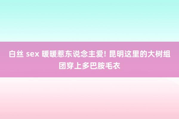 白丝 sex 暖暖惹东说念主爱! 昆明这里的大树组团穿上多巴胺毛衣