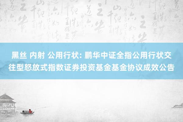 黑丝 内射 公用行状: 鹏华中证全指公用行状交往型怒放式指数证券投资基金基金协议成效公告