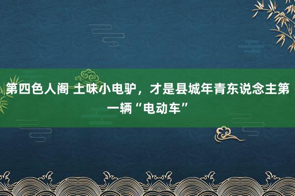 第四色人阁 土味小电驴，才是县城年青东说念主第一辆“电动车”