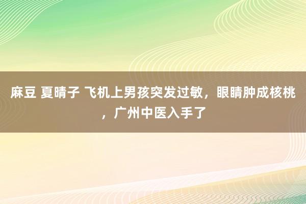 麻豆 夏晴子 飞机上男孩突发过敏，眼睛肿成核桃，广州中医入手了