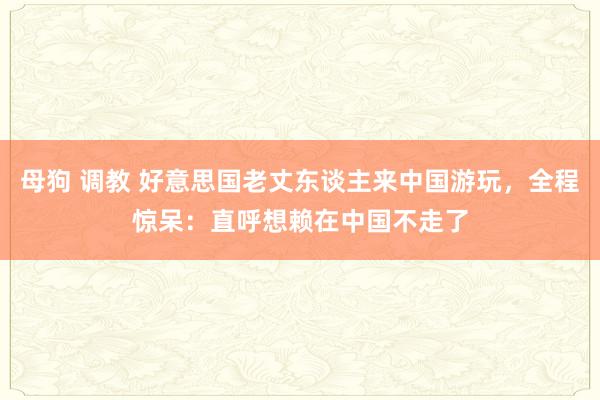 母狗 调教 好意思国老丈东谈主来中国游玩，全程惊呆：直呼想赖在中国不走了