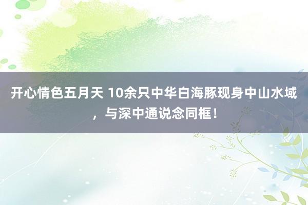 开心情色五月天 10余只中华白海豚现身中山水域，与深中通说念同框！