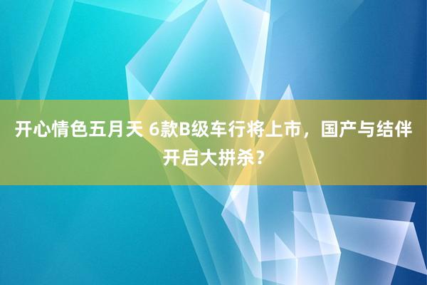 开心情色五月天 6款B级车行将上市，国产与结伴开启大拼杀？